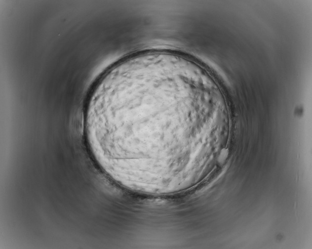 X0000100971317200807151342
