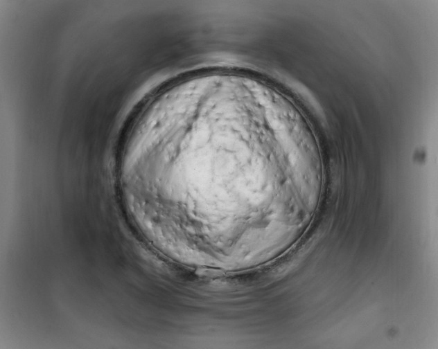 X0000100971318200807151342