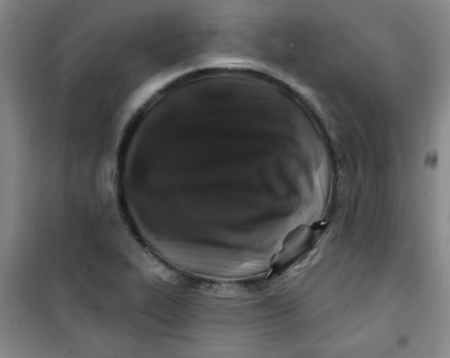 X0000100971319200807151342