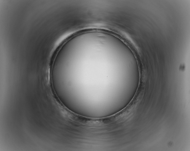 X0000100971320200807151342