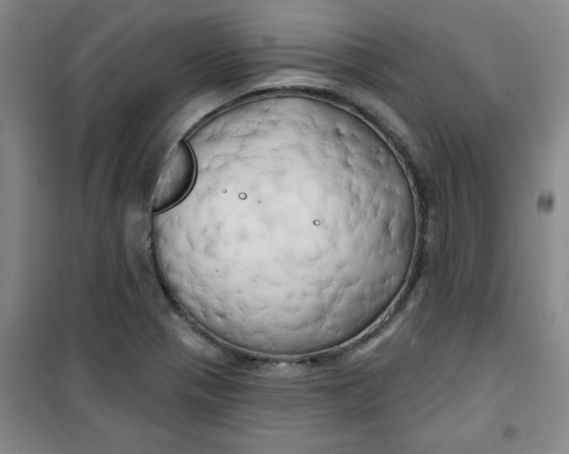 X0000100971321200807151342