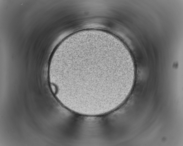 X0000100971322200807151342