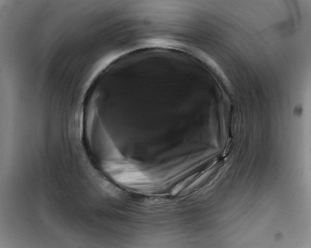 X0000100971323200807151342