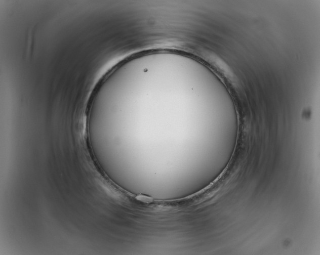 X0000100971324200807151342
