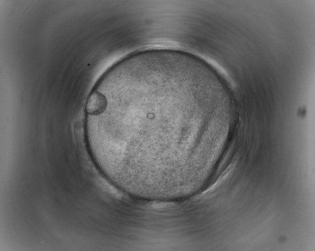 X0000100971325200807151342