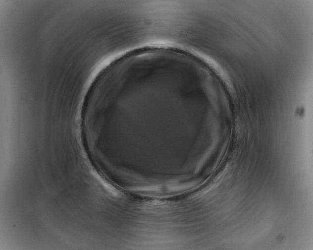 X0000100971327200807151342