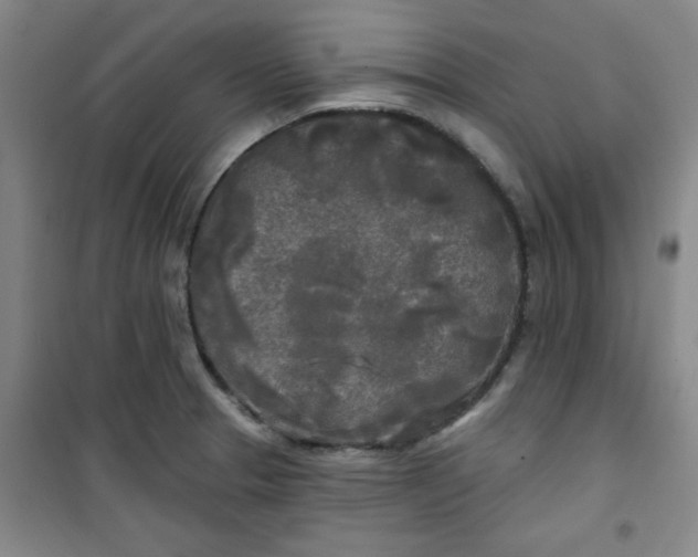 X0000100971329200807151342