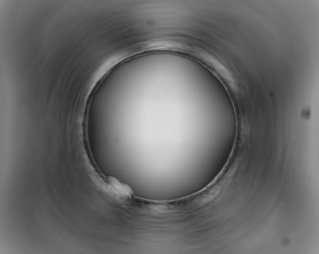 X0000100971330200807151342