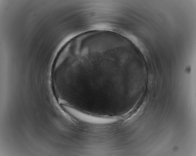 X0000100971331200807151342