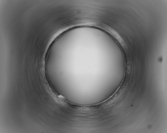 X0000100971332200807151342