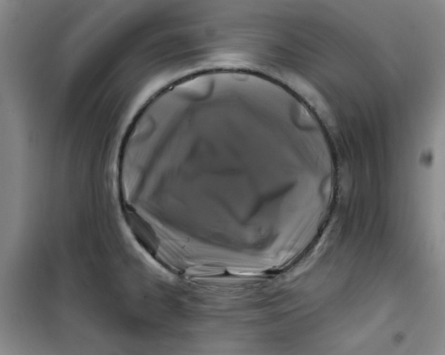 X0000100971334200807151342