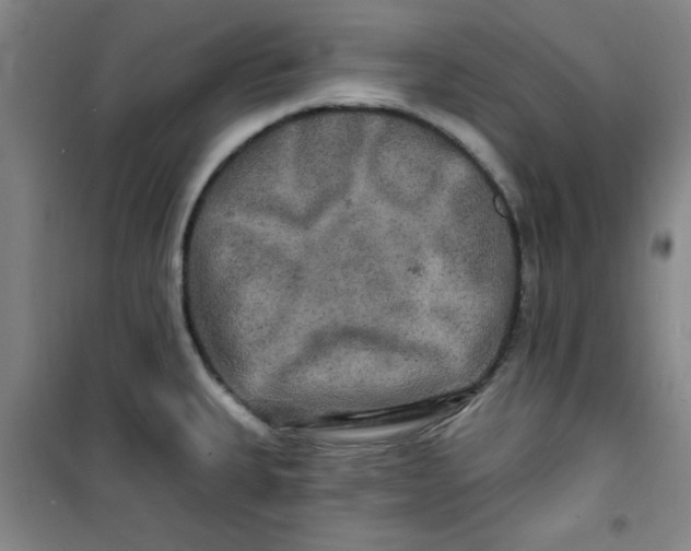 X0000100971335200807151342