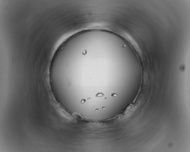X0000100971336200807151342
