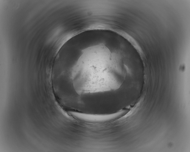 X0000100971337200807151342