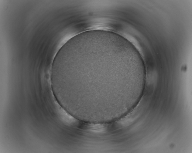 X0000100971338200807151342