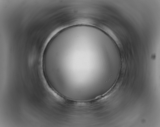 X0000100971339200807151342