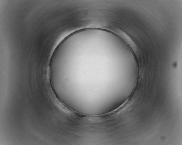 X0000100971340200807151342