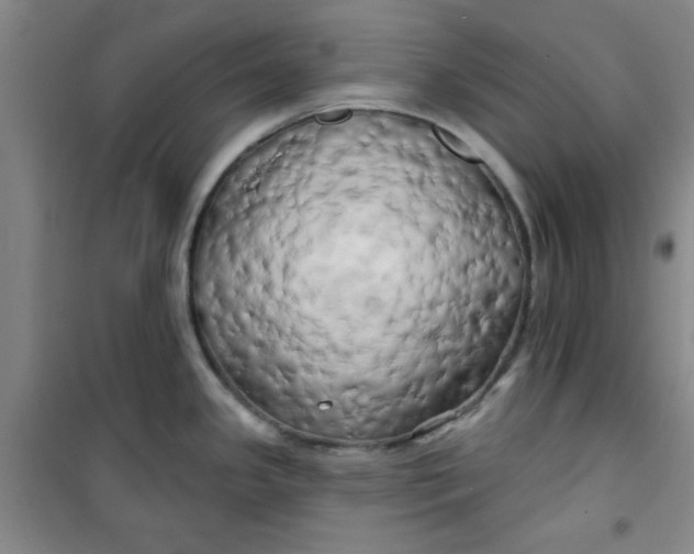 X0000100971341200807151342