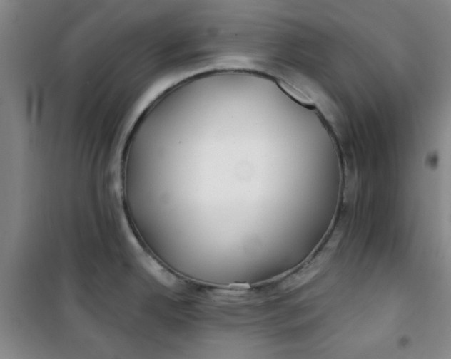 X0000100971342200807151342