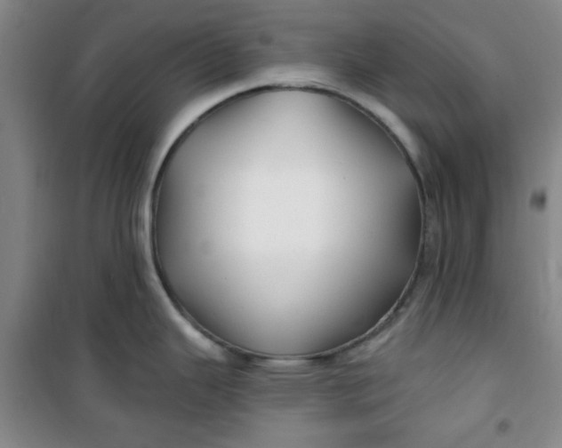 X0000100971343200807151342
