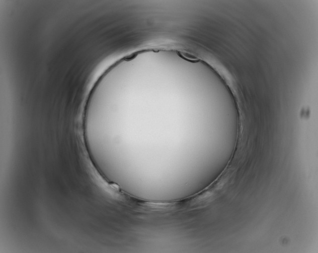 X0000100971344200807151342
