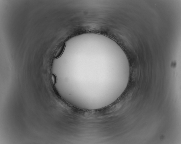 X0000100971345200807151341