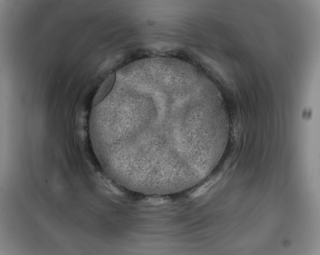X0000100971346200807151341