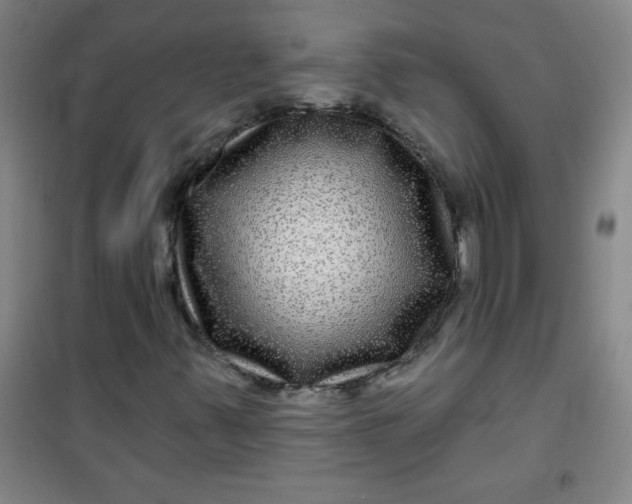 X0000100971347200807151341