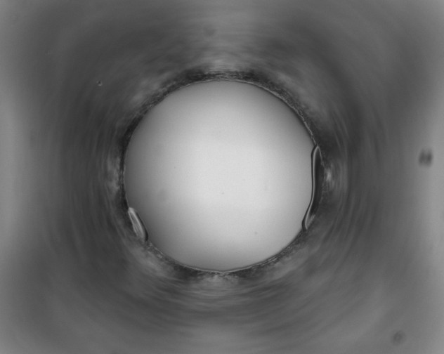 X0000100971348200807151341