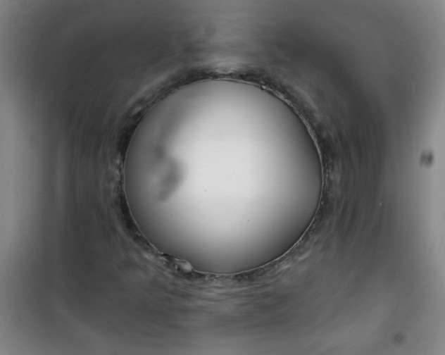 X0000100971349200807151341