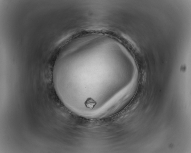 X0000100971350200807151341