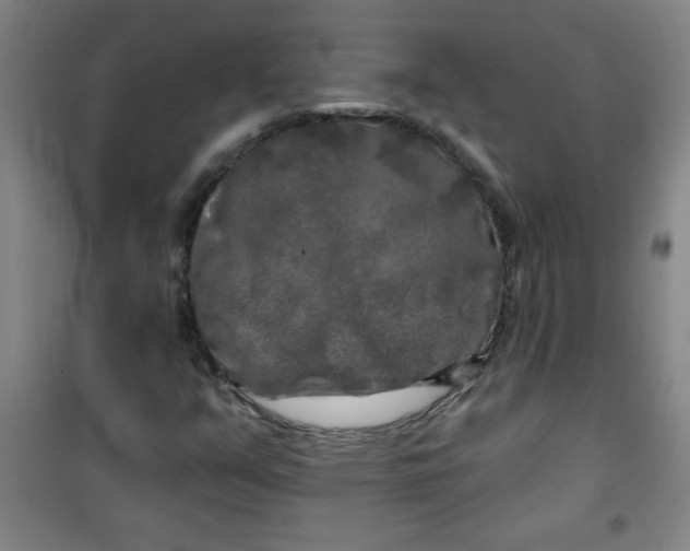 X0000100971351200807151341