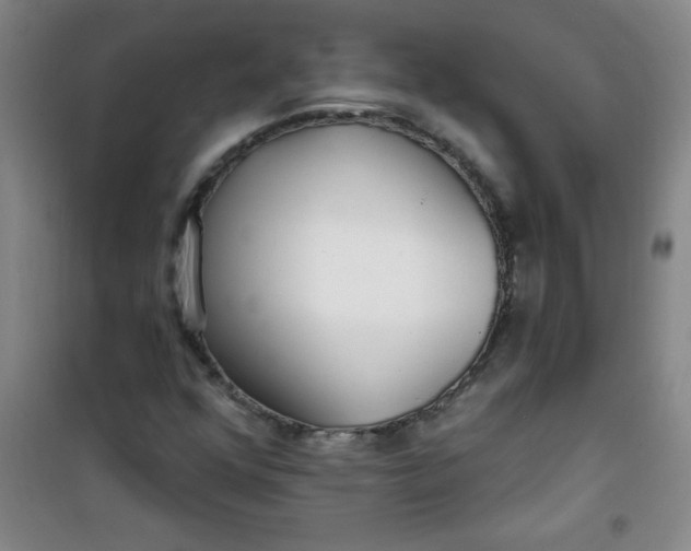 X0000100971352200807151341
