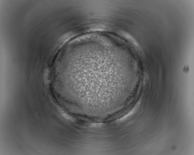 X0000100971353200807151341