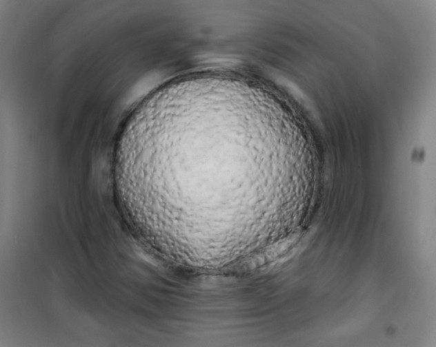 X0000100971354200807151341