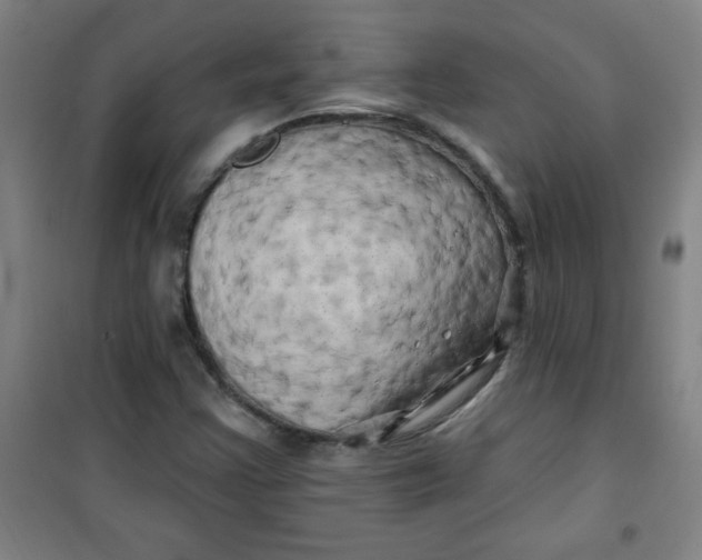 X0000100971355200807151341