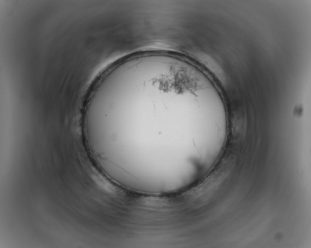 X0000100971356200807151341