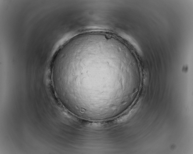 X0000100971357200807151341