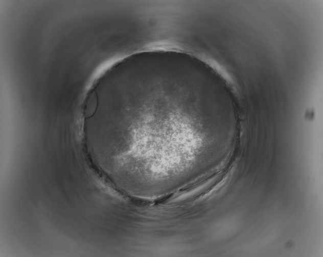 X0000100971358200807151341
