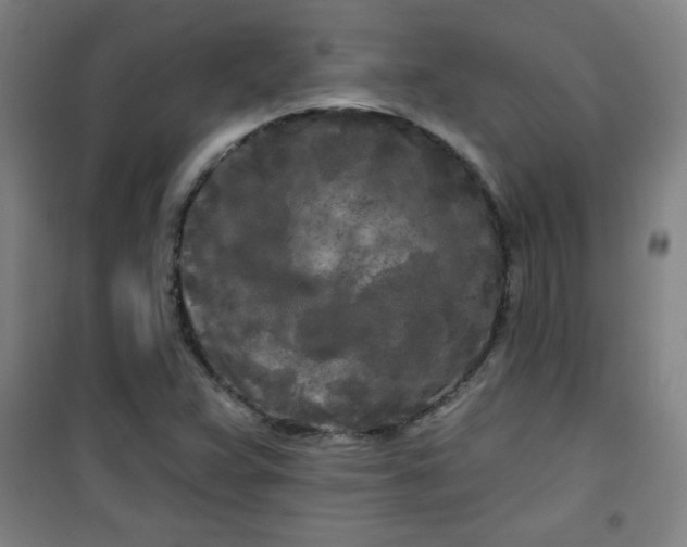 X0000100971359200807151341