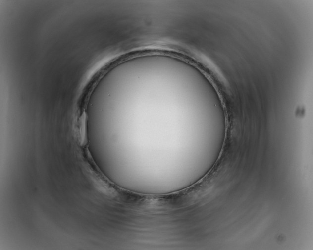 X0000100971360200807151341