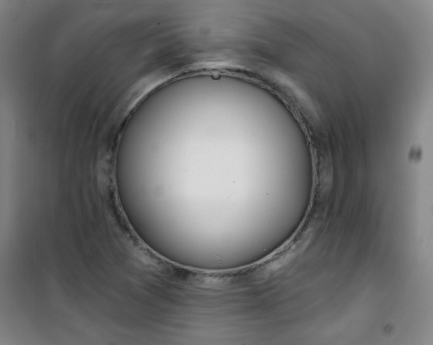 X0000100971361200807151341