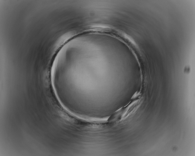 X0000100971362200807151341