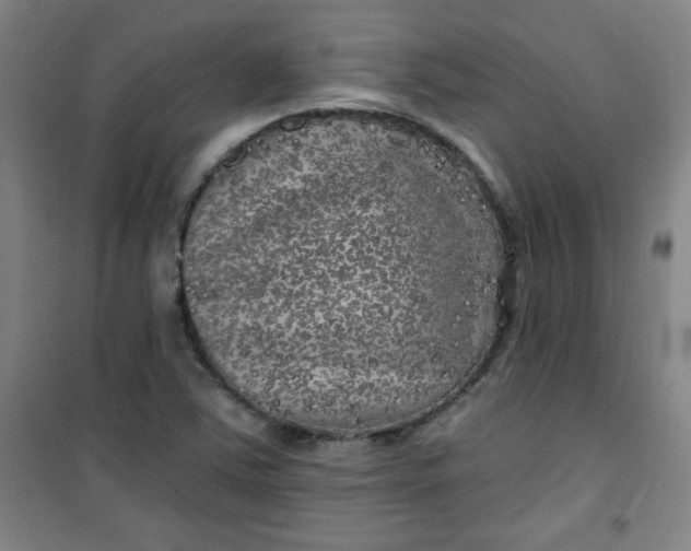 X0000100971363200807151341