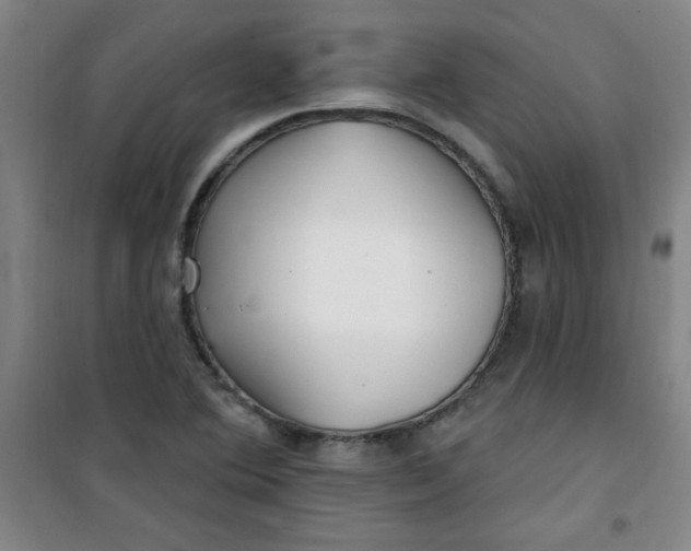 X0000100971364200807151341