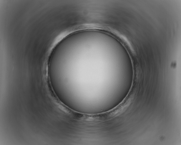 X0000100971365200807151341