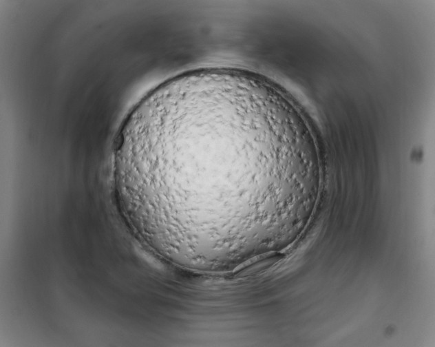 X0000100971366200807151341