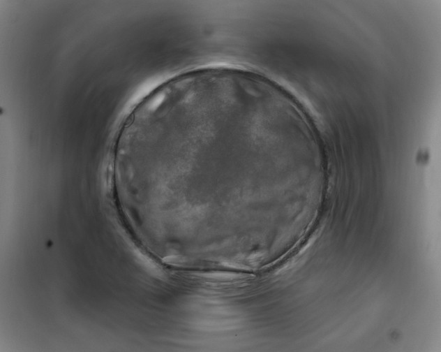 X0000100971367200807151341