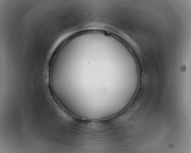 X0000100971368200807151341
