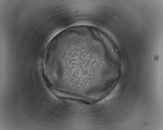 X0000100971369200807151341